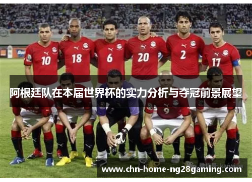 阿根廷队在本届世界杯的实力分析与夺冠前景展望