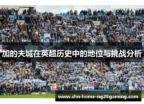 加的夫城在英超历史中的地位与挑战分析