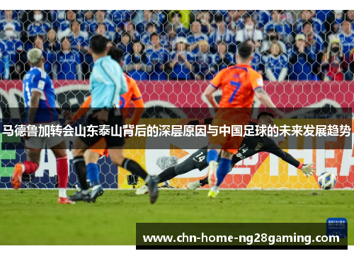 马德鲁加转会山东泰山背后的深层原因与中国足球的未来发展趋势