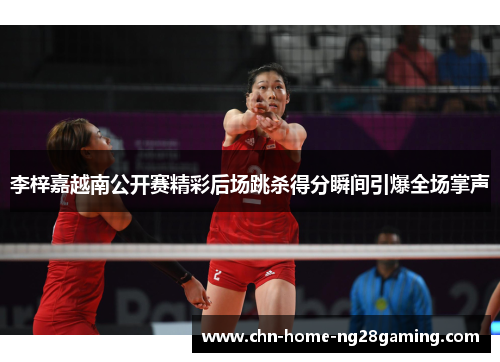 李梓嘉越南公开赛精彩后场跳杀得分瞬间引爆全场掌声