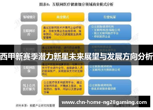 西甲新赛季潜力新星未来展望与发展方向分析