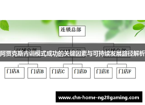 阿贾克斯青训模式成功的关键因素与可持续发展路径解析