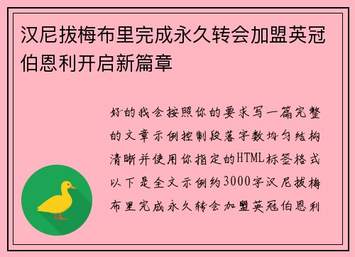 汉尼拔梅布里完成永久转会加盟英冠伯恩利开启新篇章